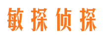 乐业侦探公司